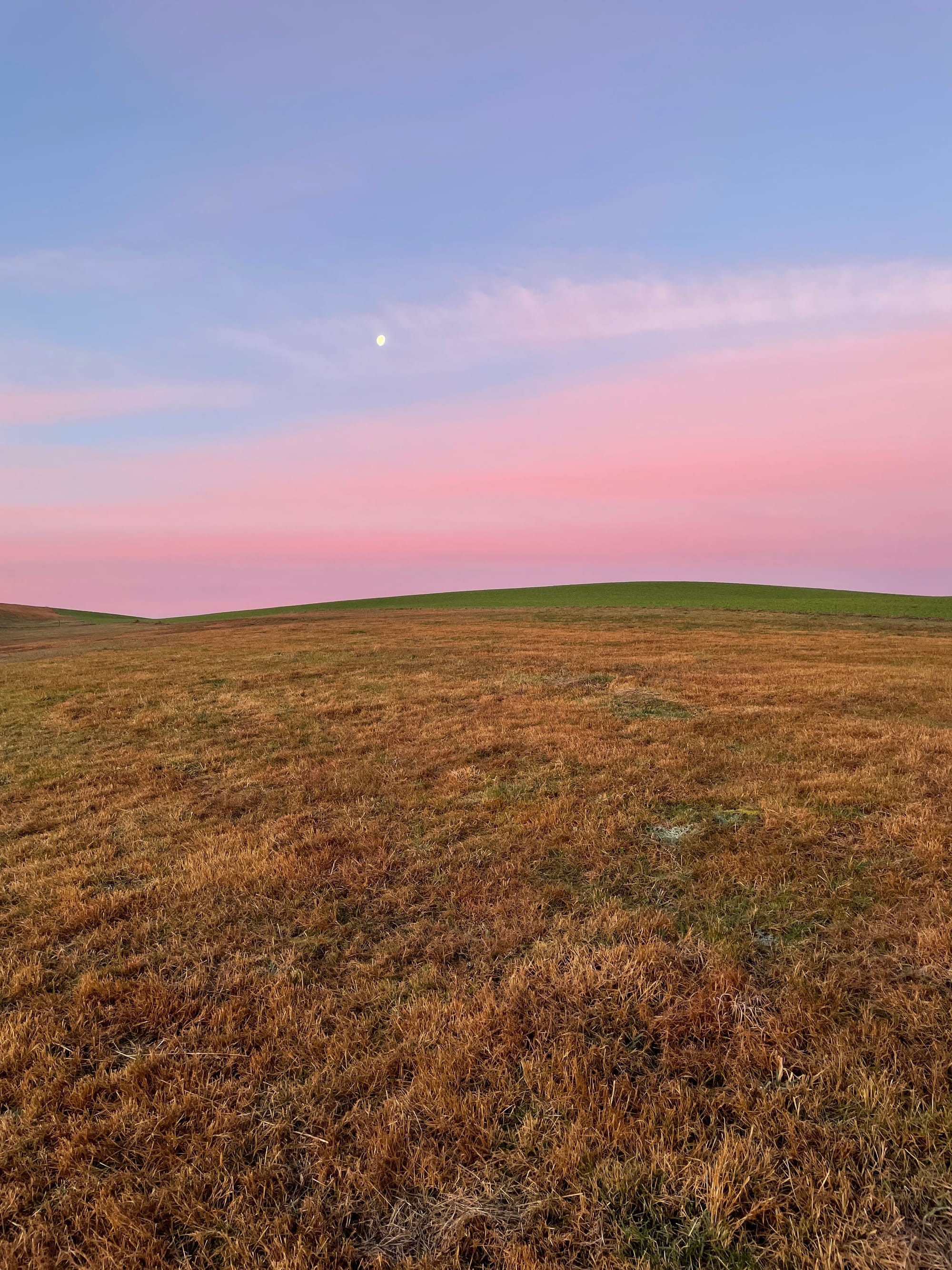 2026: Et hätt noch immer joot jejange – really?